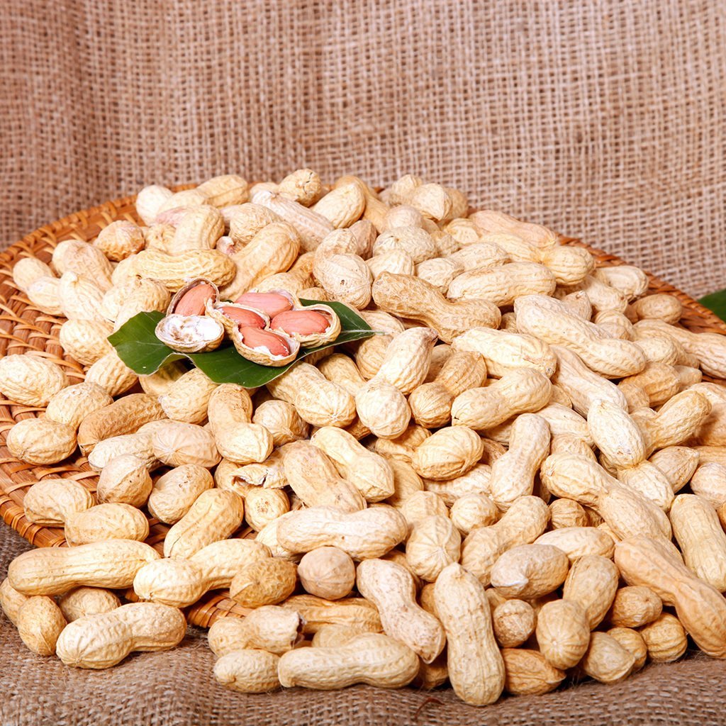 Kavrulmuş Kabuklu Yer Fıstığı
