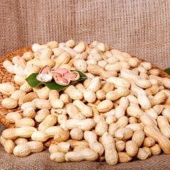 Kavrulmuş Kabuklu Yer Fıstığı