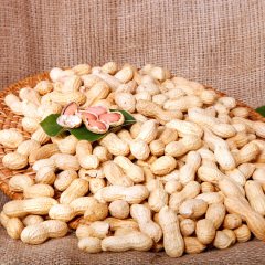 Kavrulmuş Kabuklu Yer Fıstığı