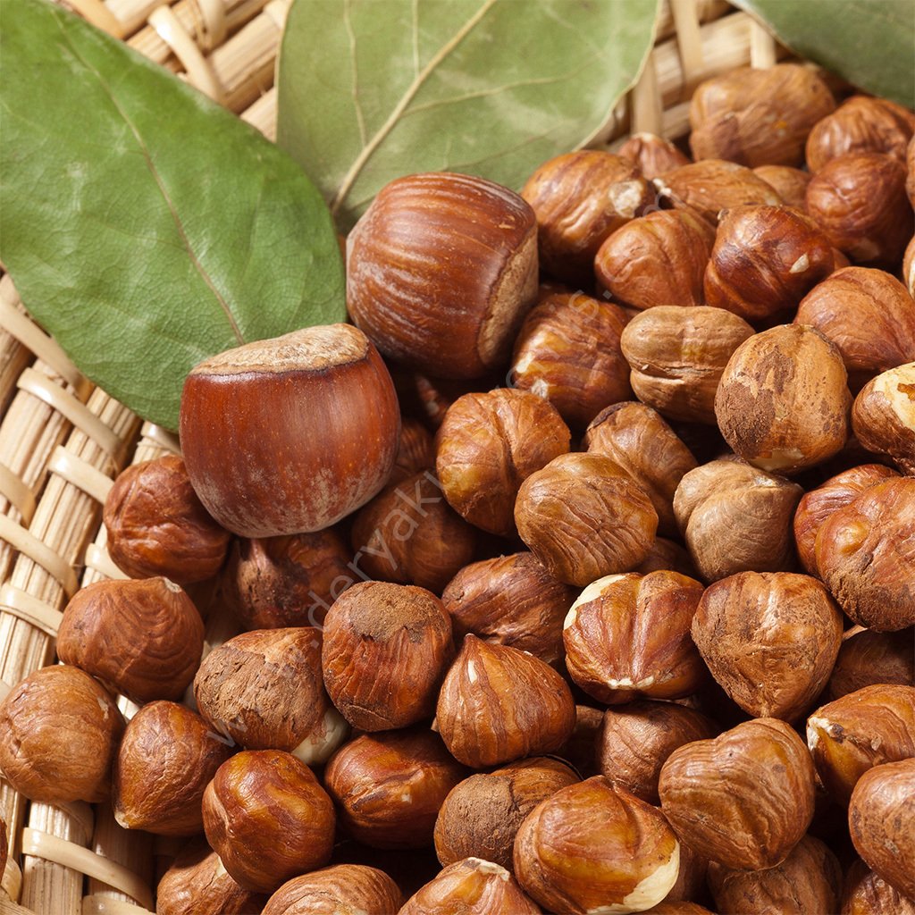 Giresun Çiğ Fındık 500 gr